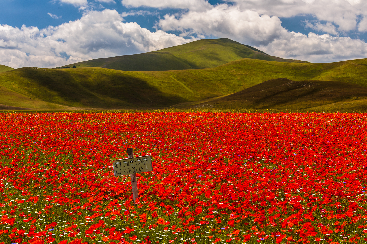 Altopiano di Castelluccio