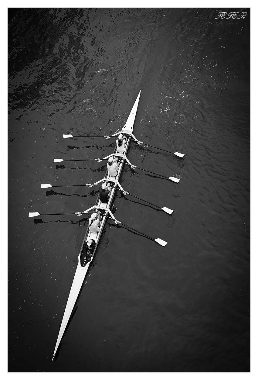 Row row row your boat