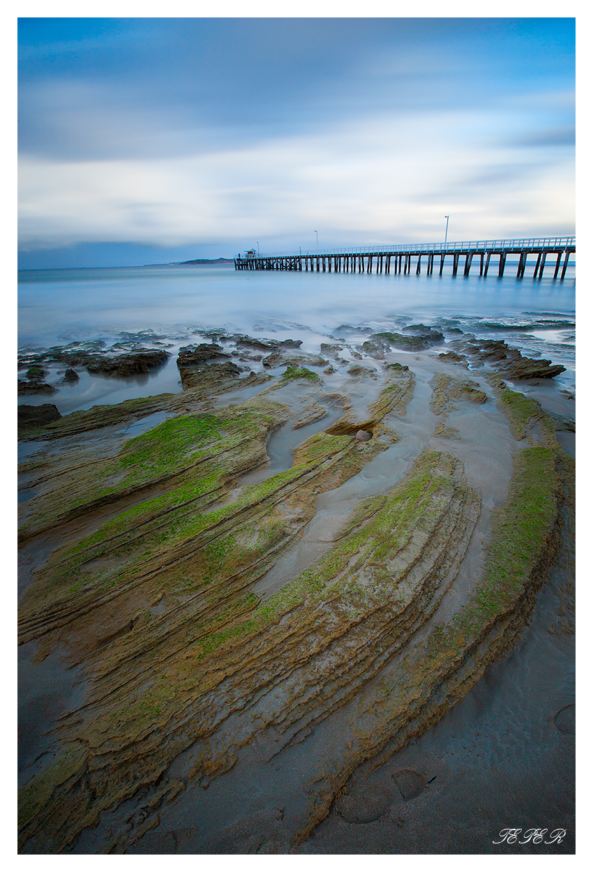 Queenscliff landscape