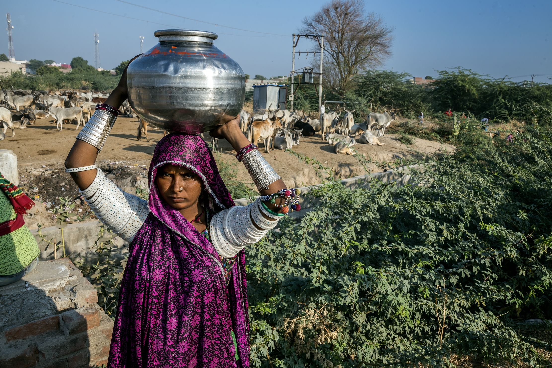 Gujarat 2015 - Nomade di ritorno dalla fonte