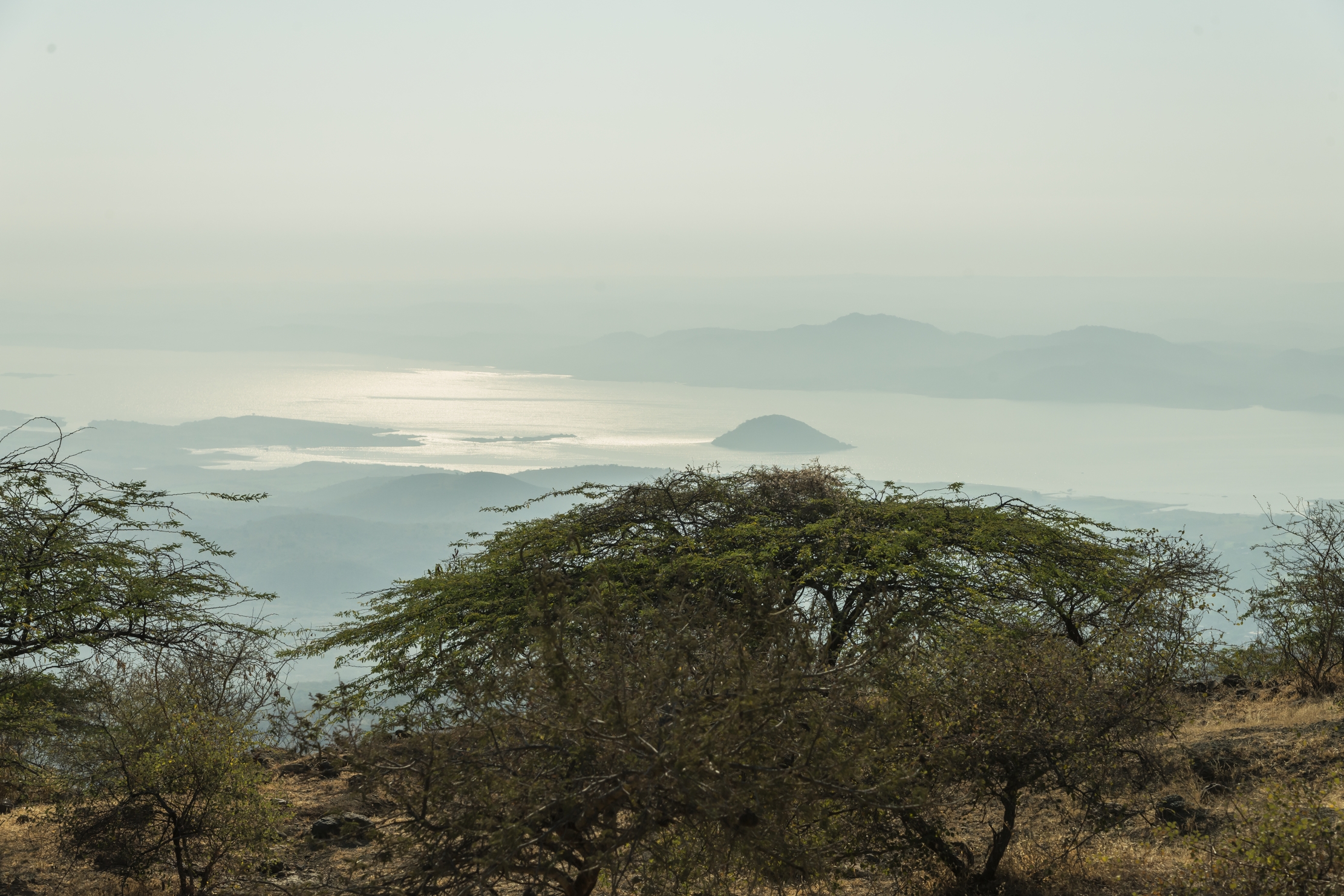 Gujarat 2015 -  Vista dal monte Shatrunjaya