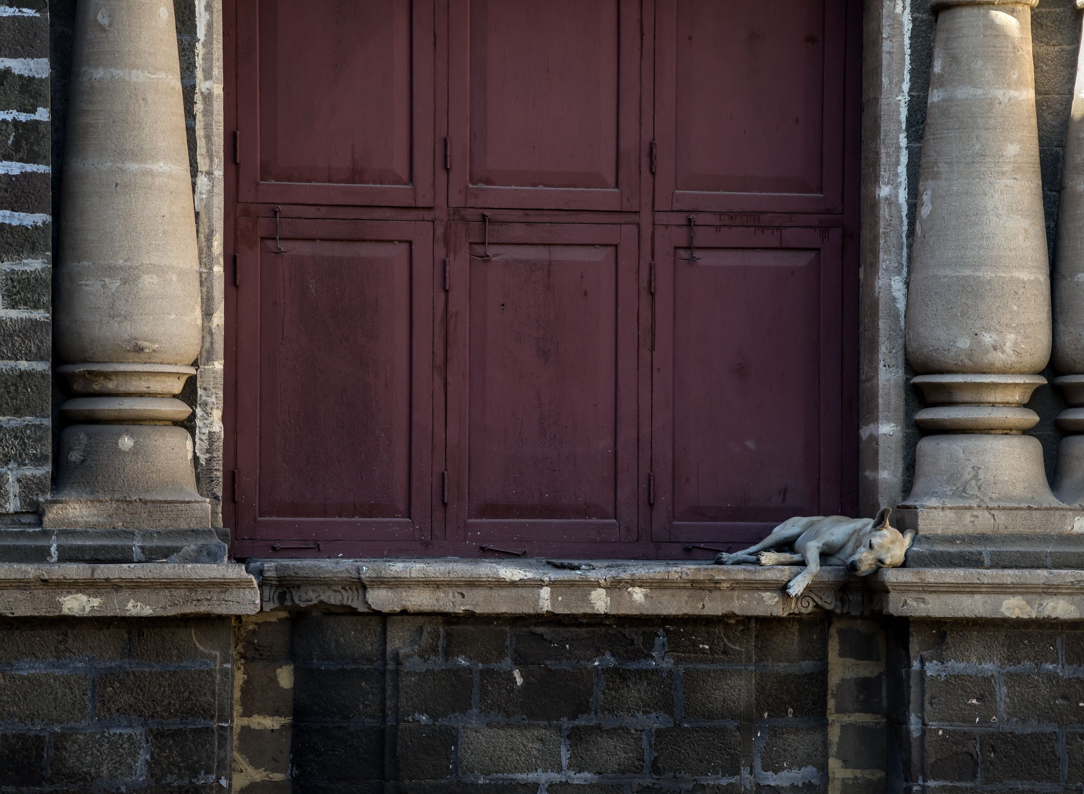 Gujarat 2015 - Nel cortile di un palazzo del Maharaja