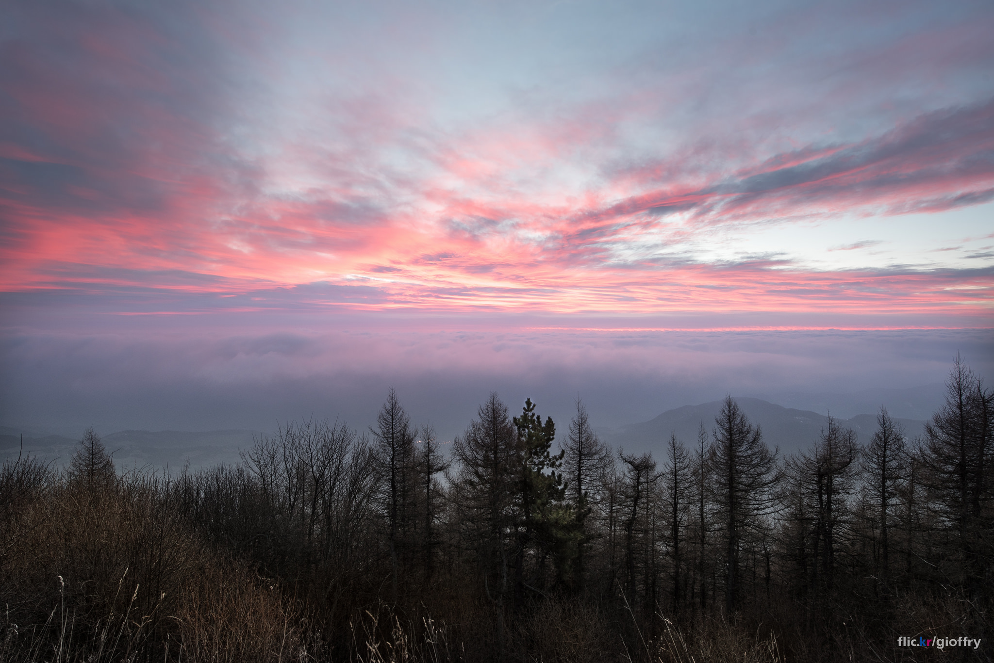 Alba summit of Penice