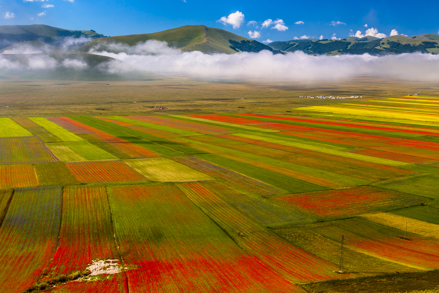 Il Pian Grande, Castelluccio