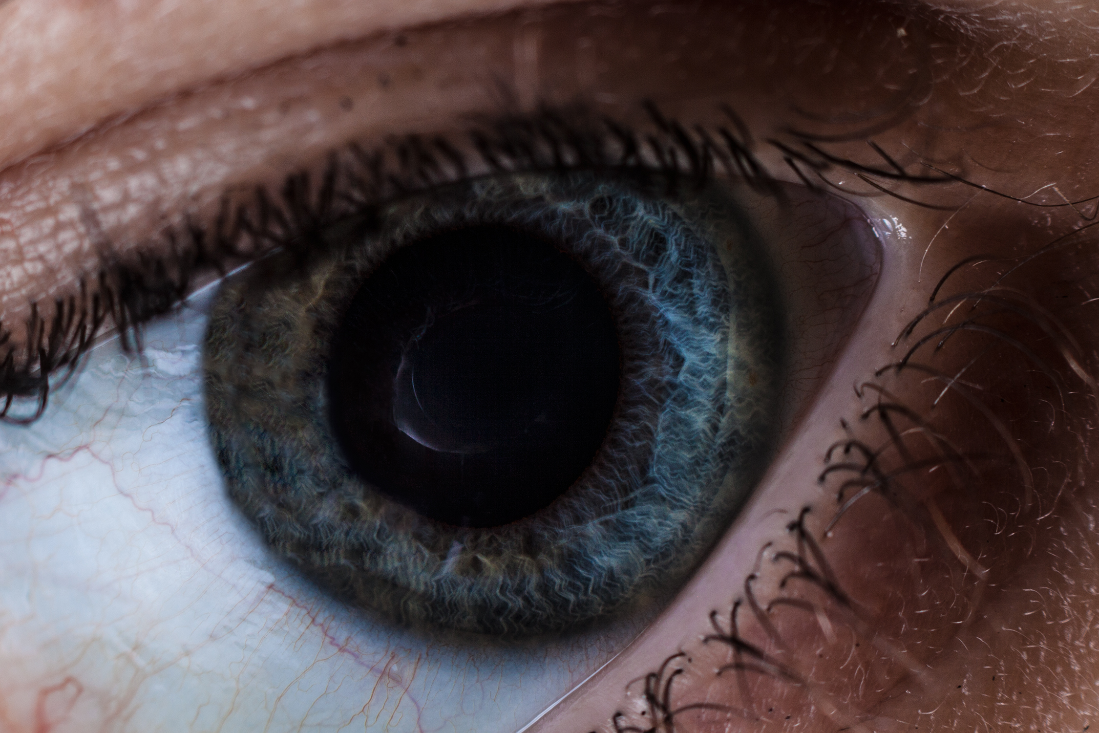 The eye of the photographer or the photographer in the eye?