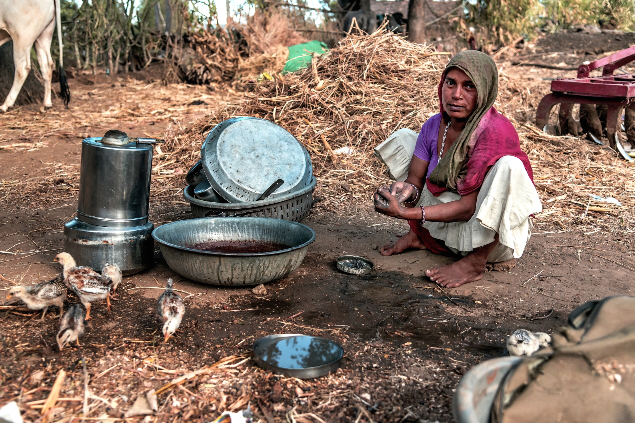 Gujarat 2015 - In campagna