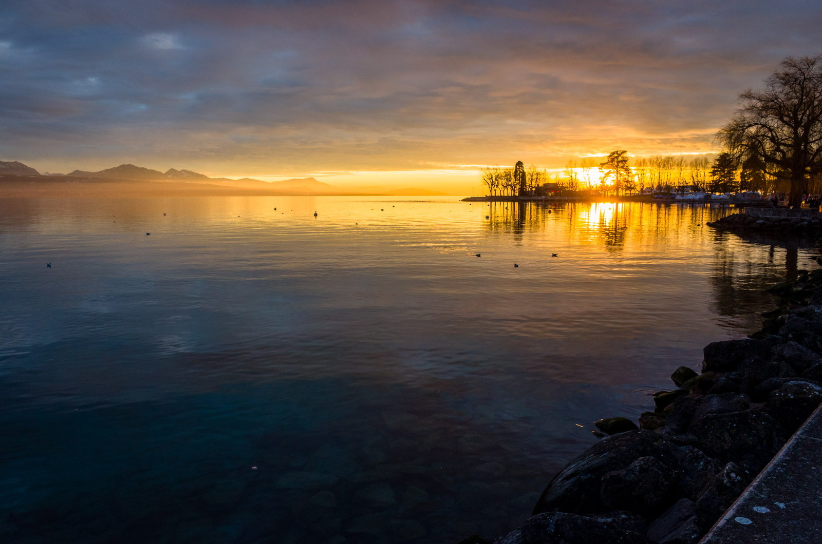 Lake Lausanne