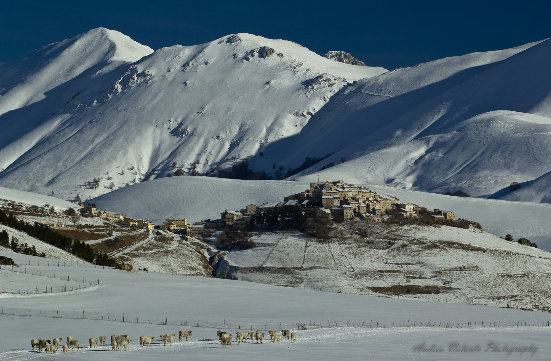 Live to winter Castelluccio country.