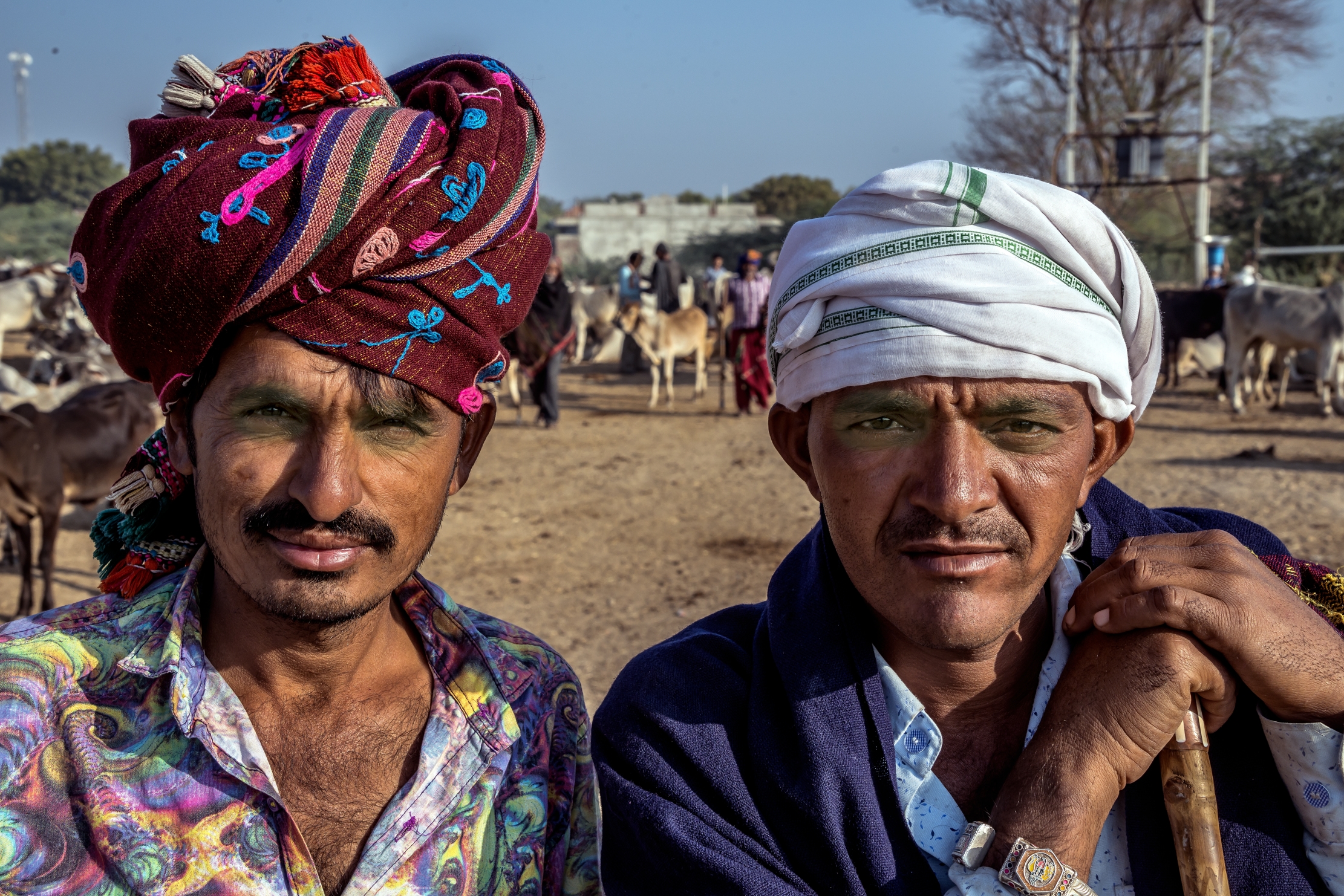 Gujarat 2015 - Pastori nomadi