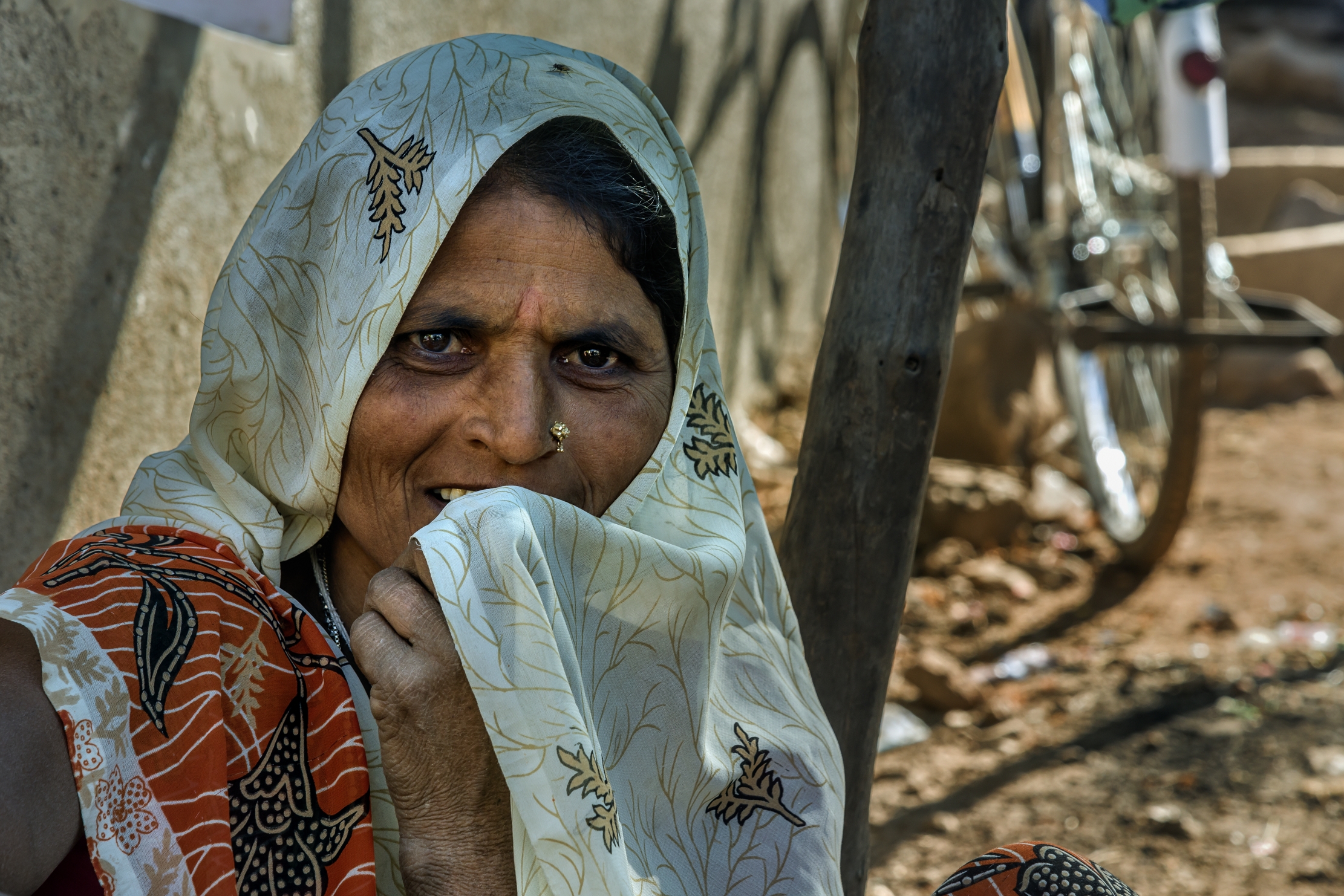 Gujarat 2015 - In un mercato