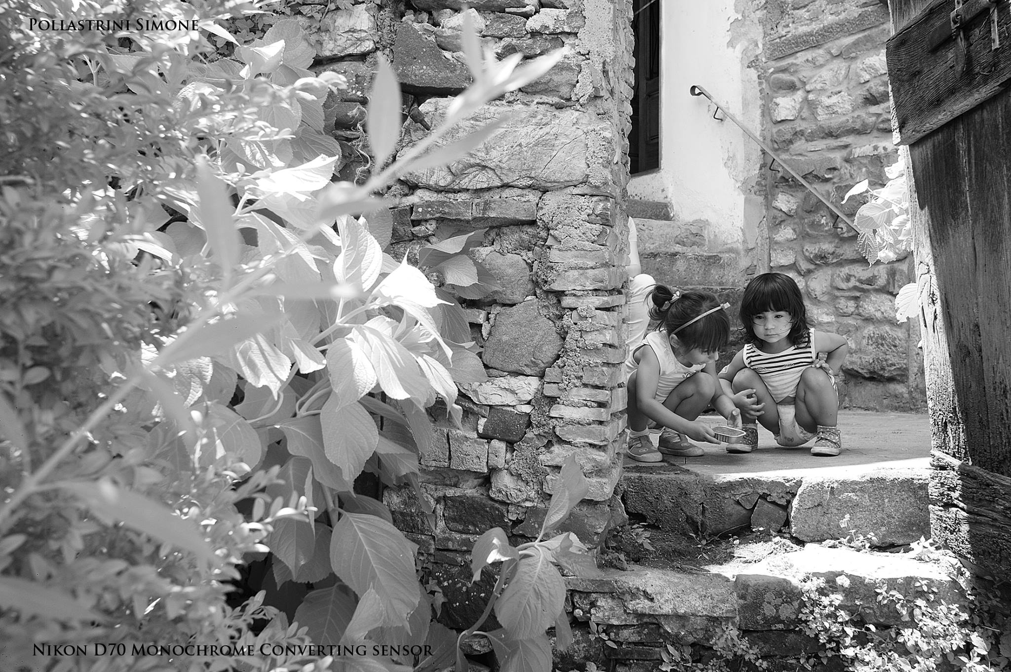 nikon d70 debayerizzata debayer