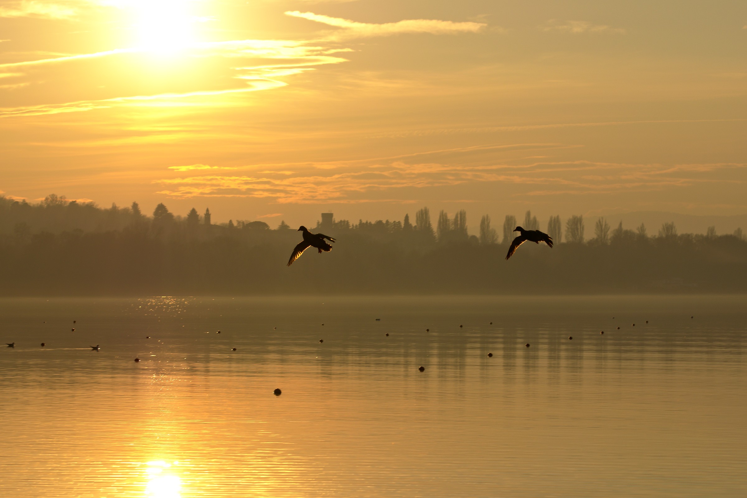 Pronti all'atterraggio