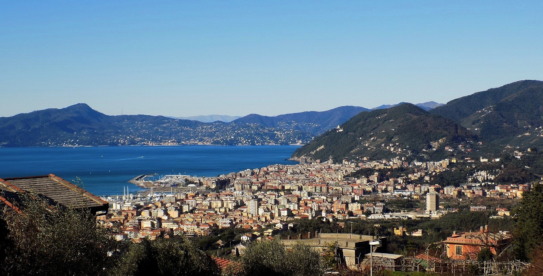 Gulf of Tigullio (g)