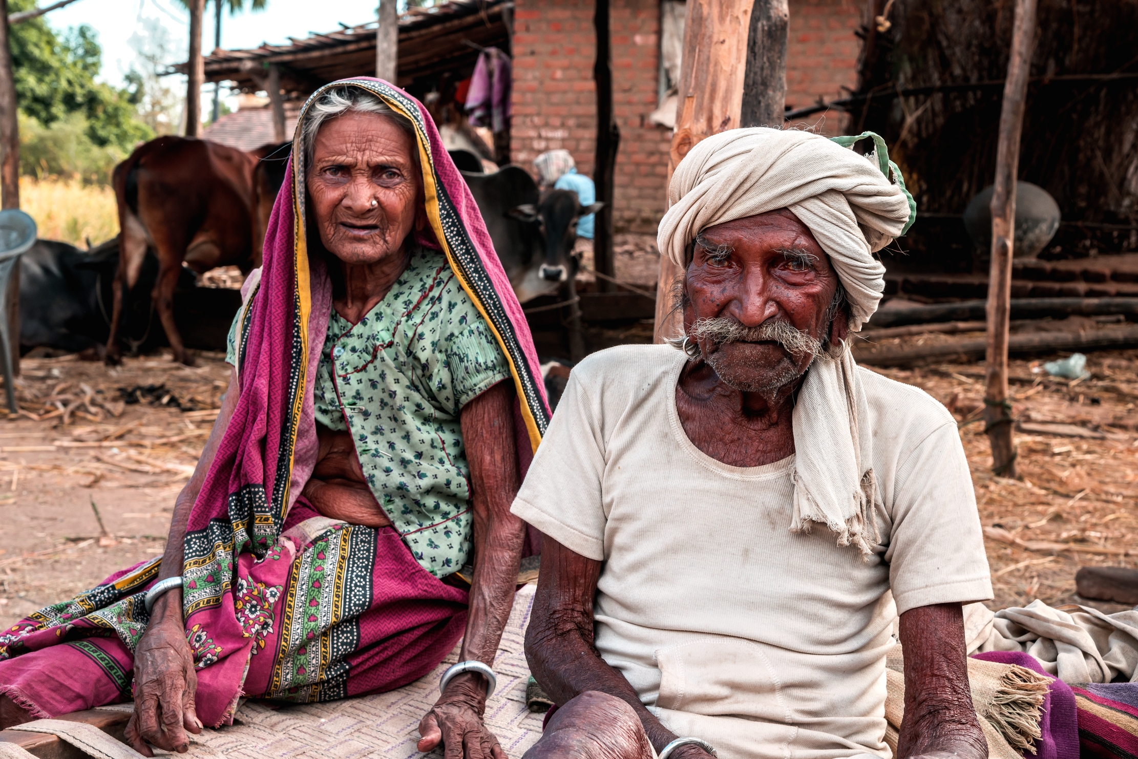 Gujarat 2015 - Coppia di anziani contadini