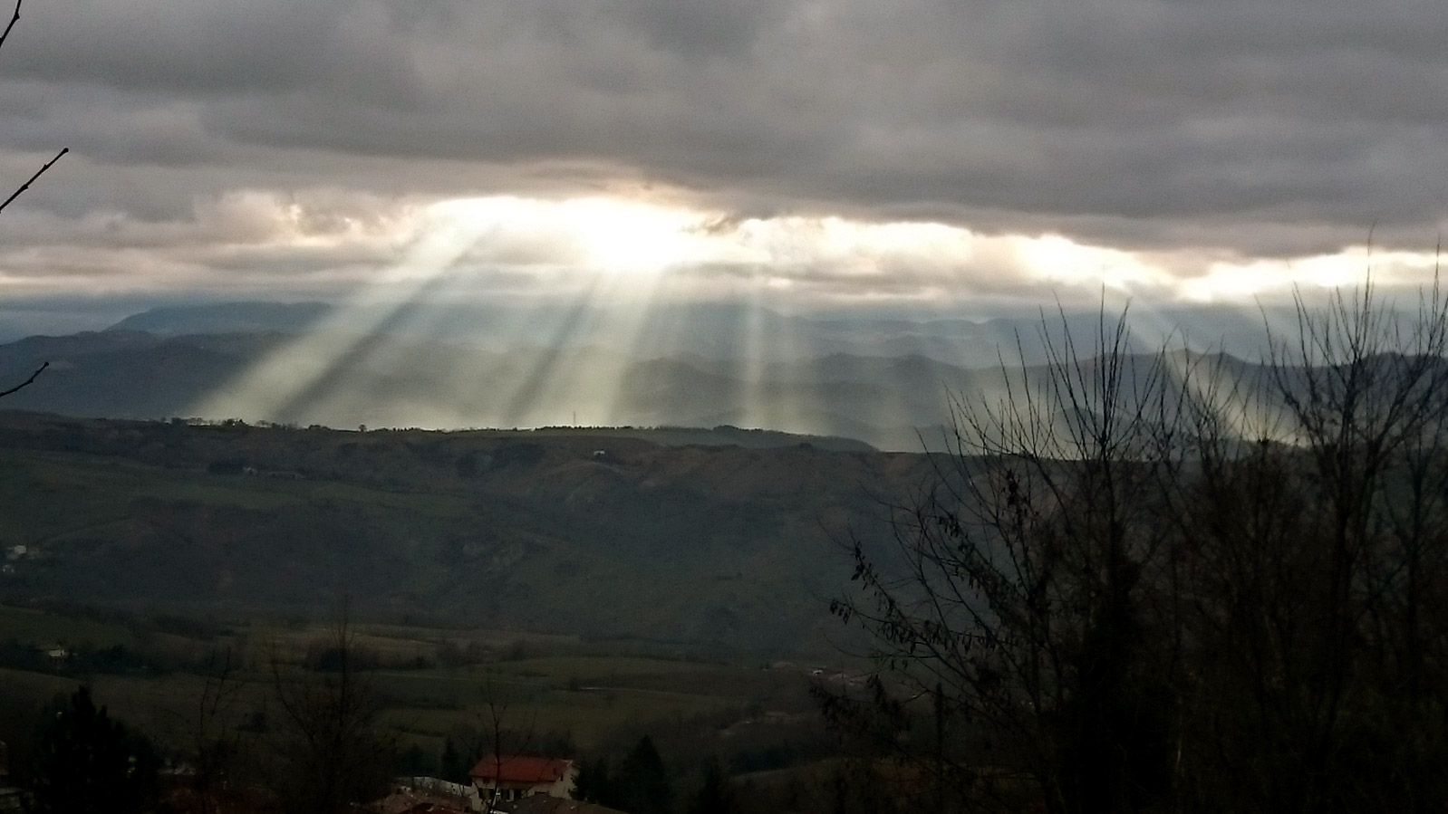 sunbeams