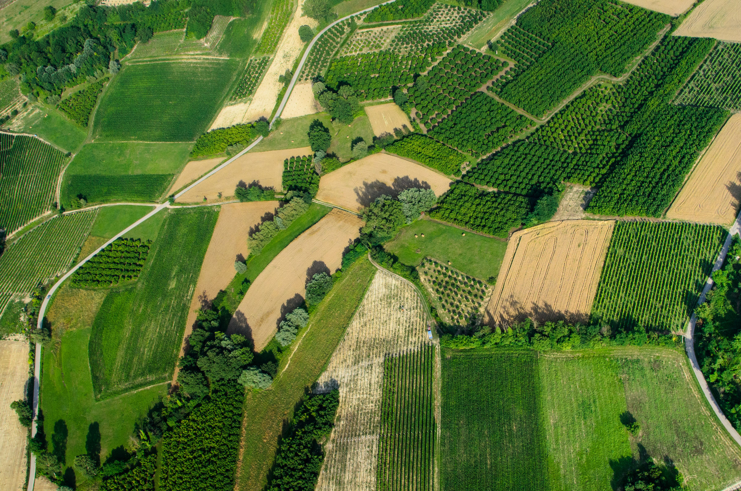 Monferrato ripreso dall'alto