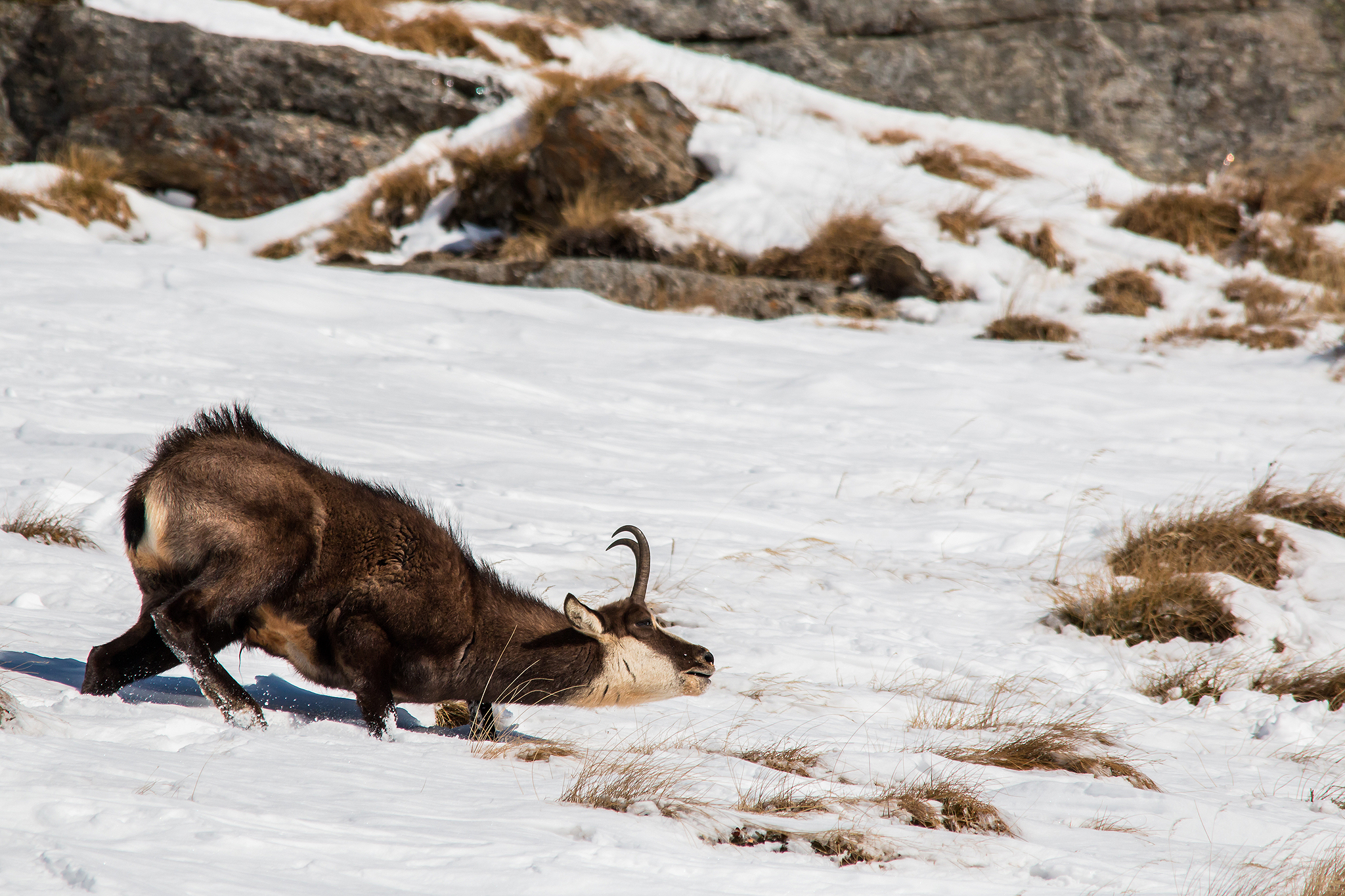 eeeeeeetciùùùùùù