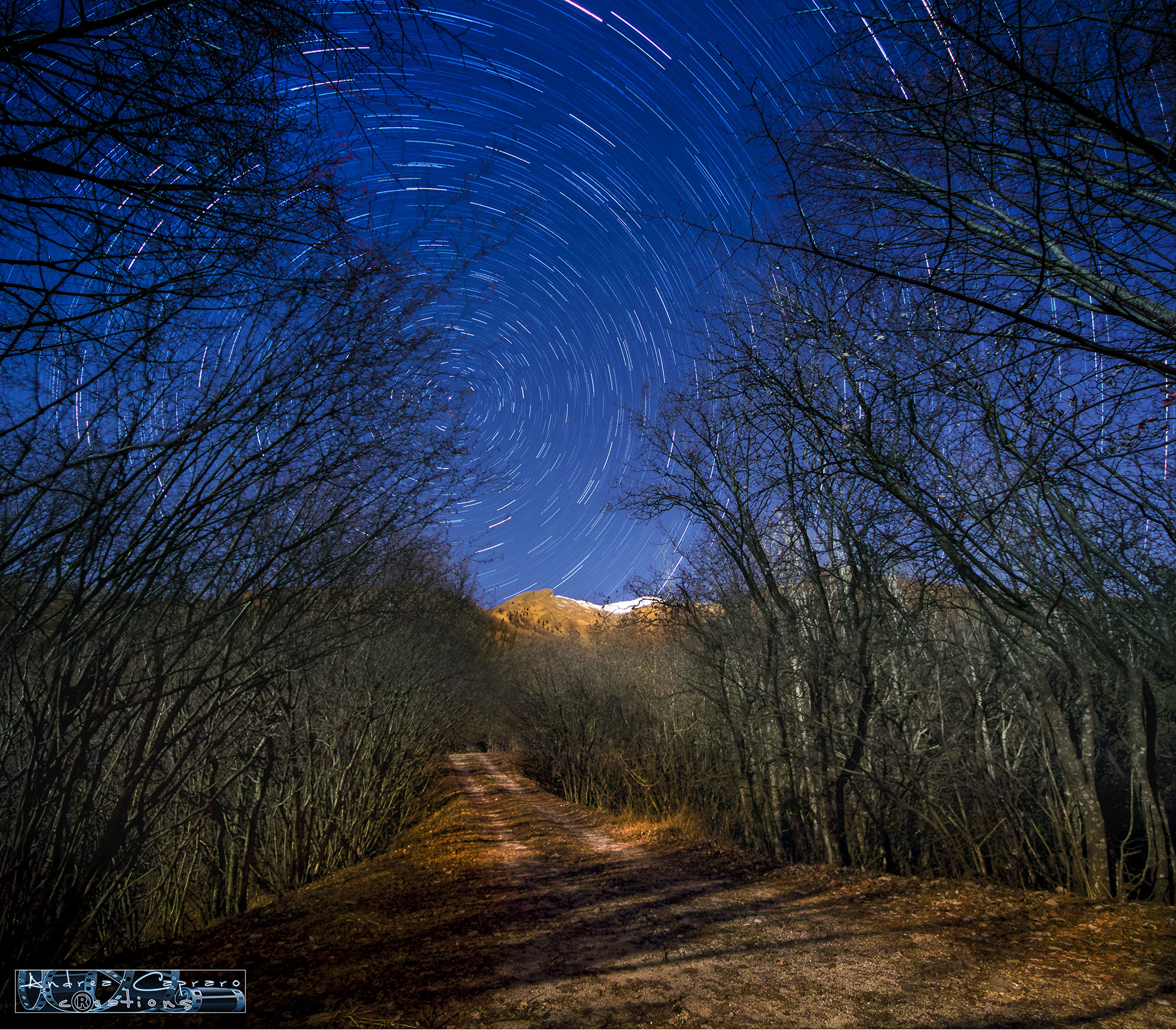 La vie en "stars" II.