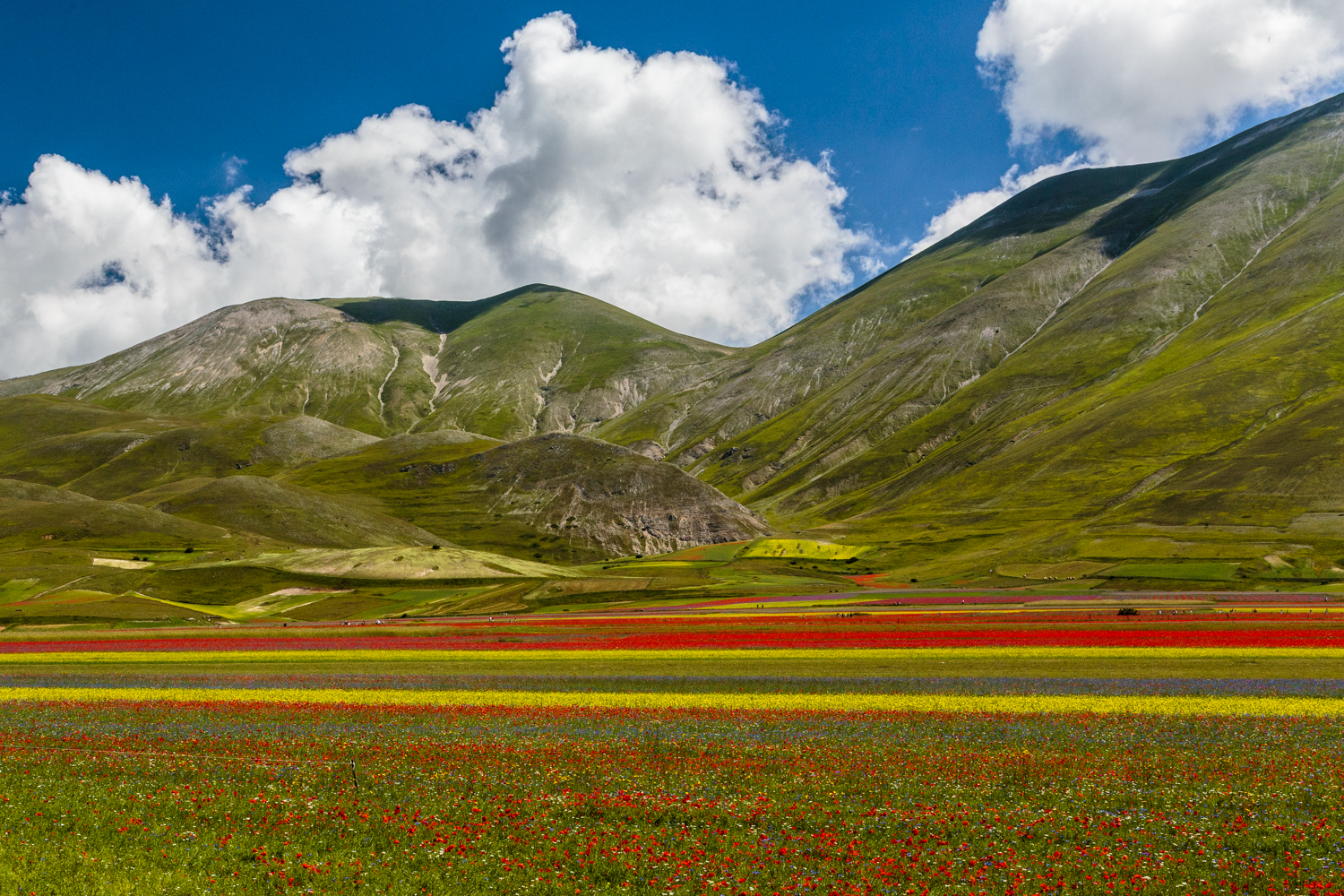 Verso i Sibillini, Castelluccio