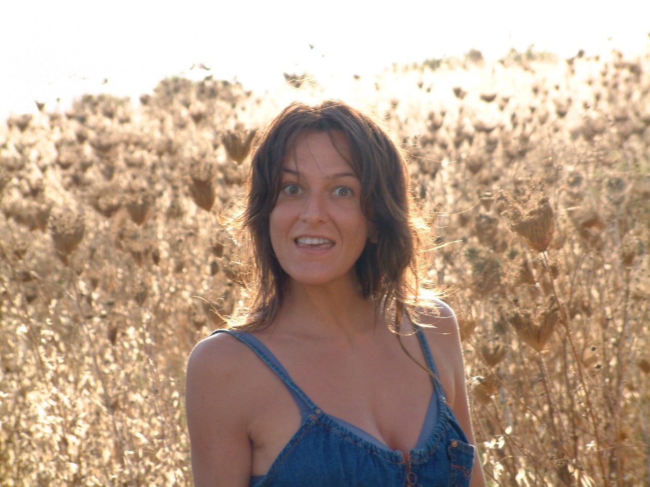 Sicuro che non ci siano serpenti? ... Chiese Eva...