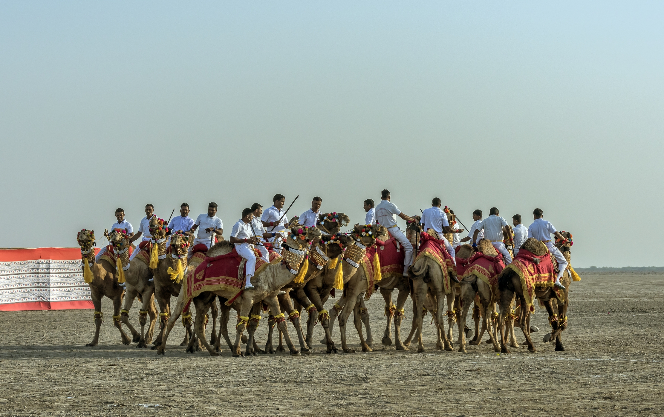 Gujarat 2015 - Esibizioni nel deserto