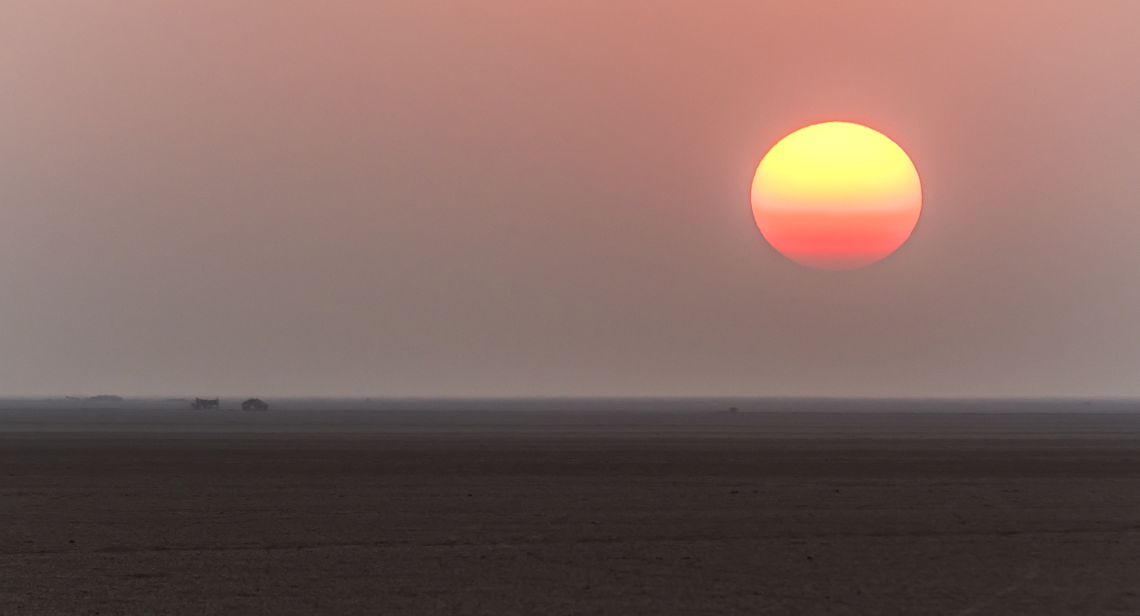 Gujarat 2015 - Tramonto