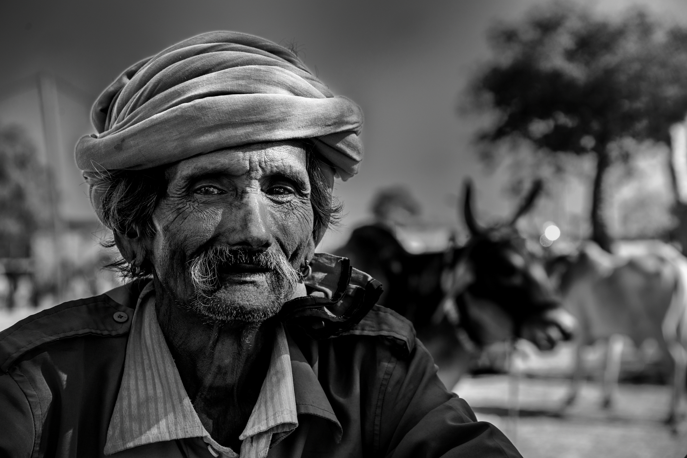 Gujarat 2015 - TPastore B&W