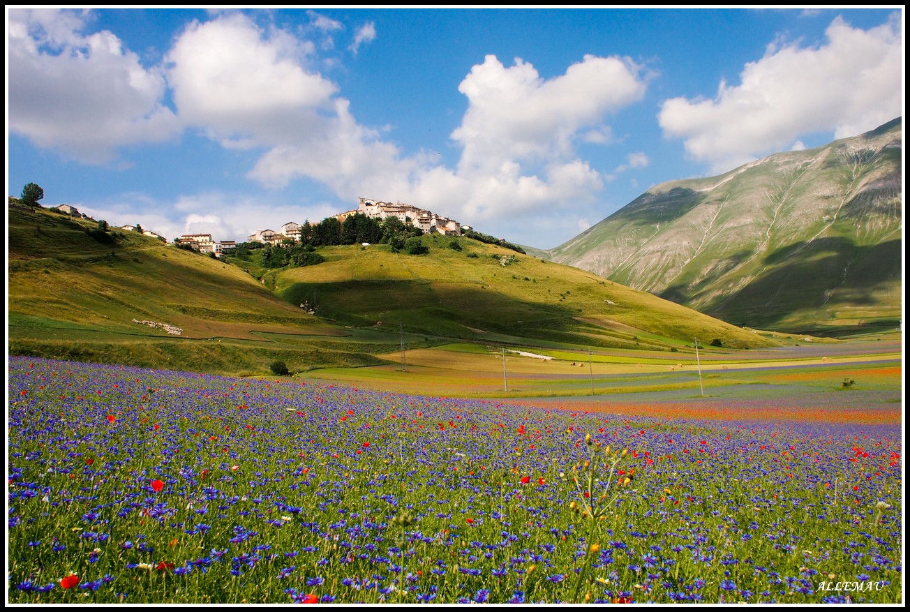 Castelluccio di Norcia