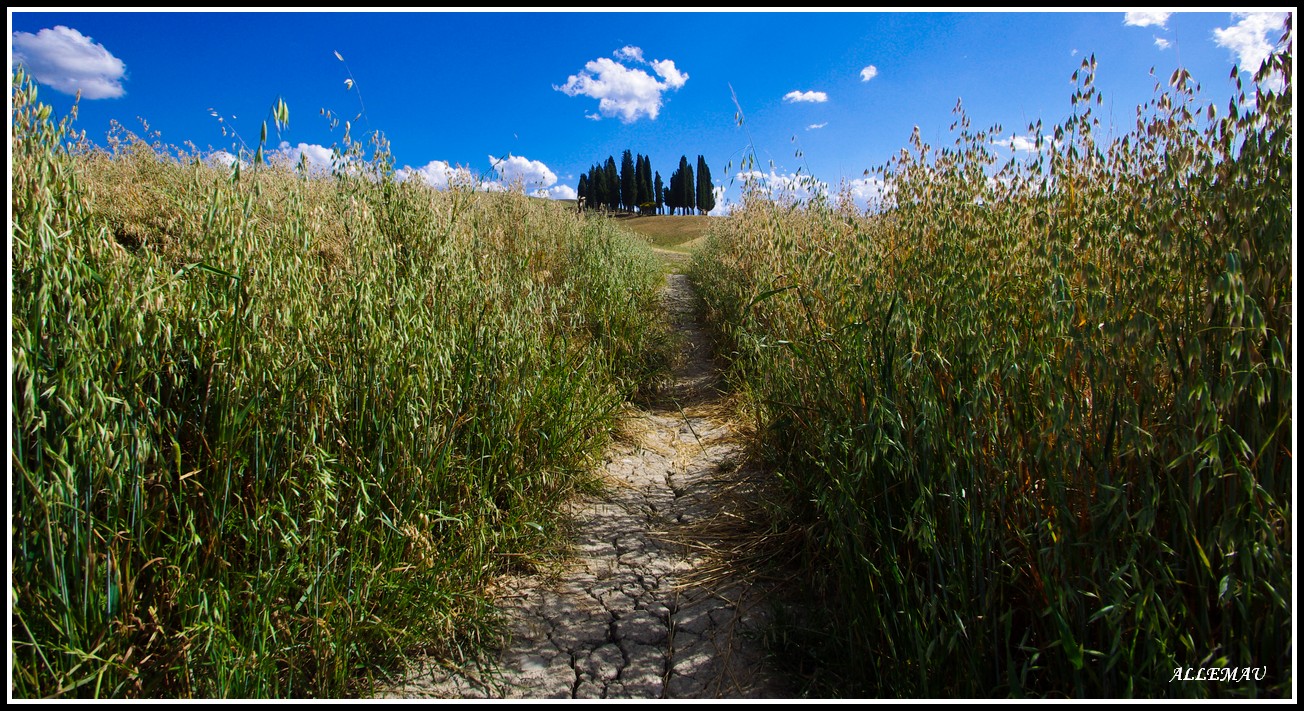 Val d'Orcia