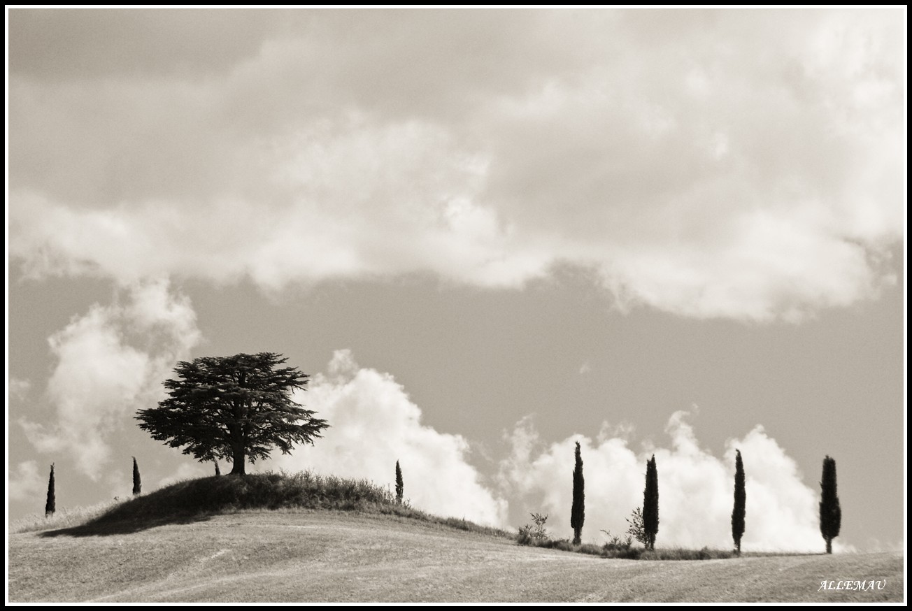 Silouette of Tuscany