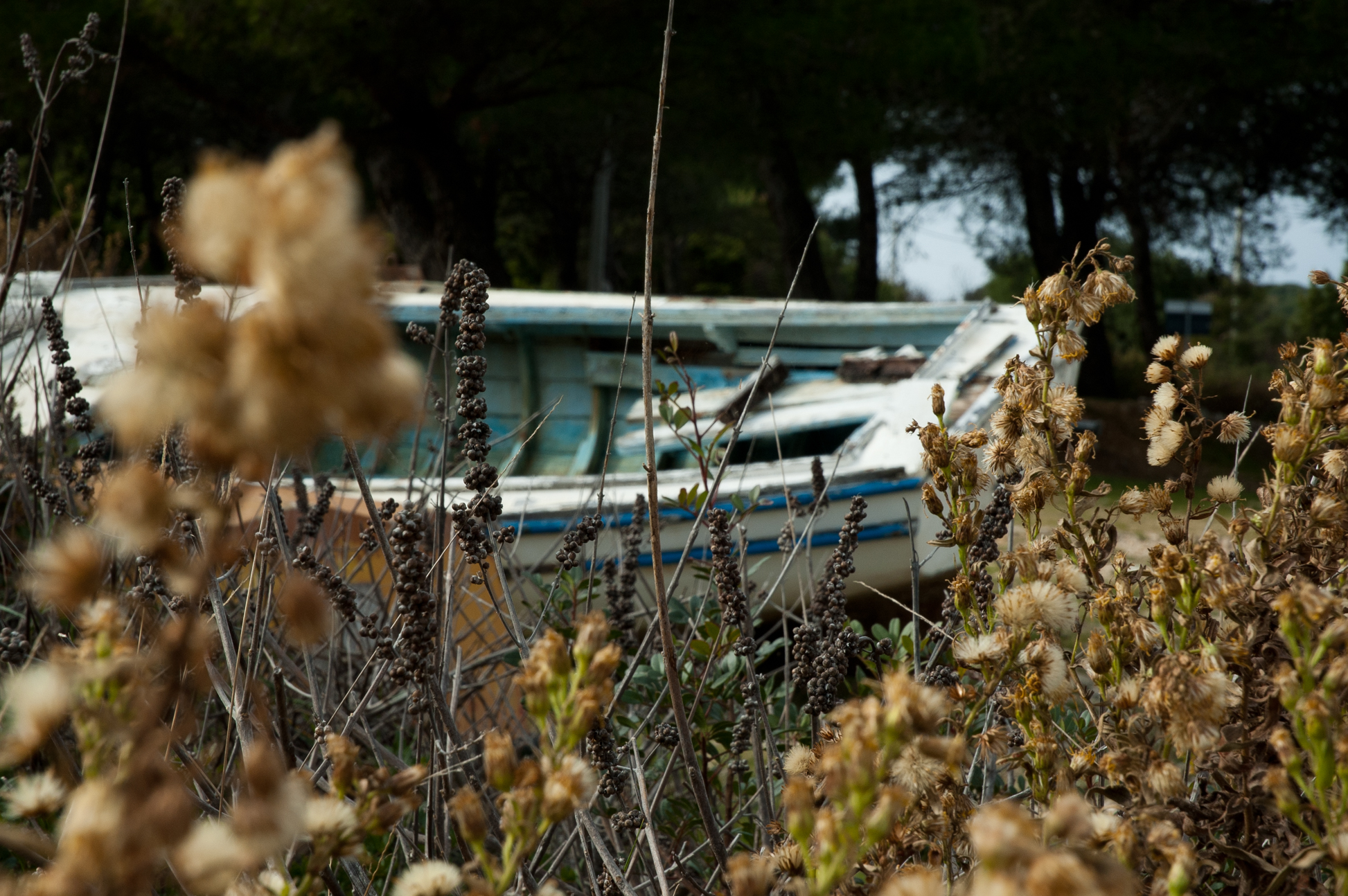 On the eve of the Day of the Dead