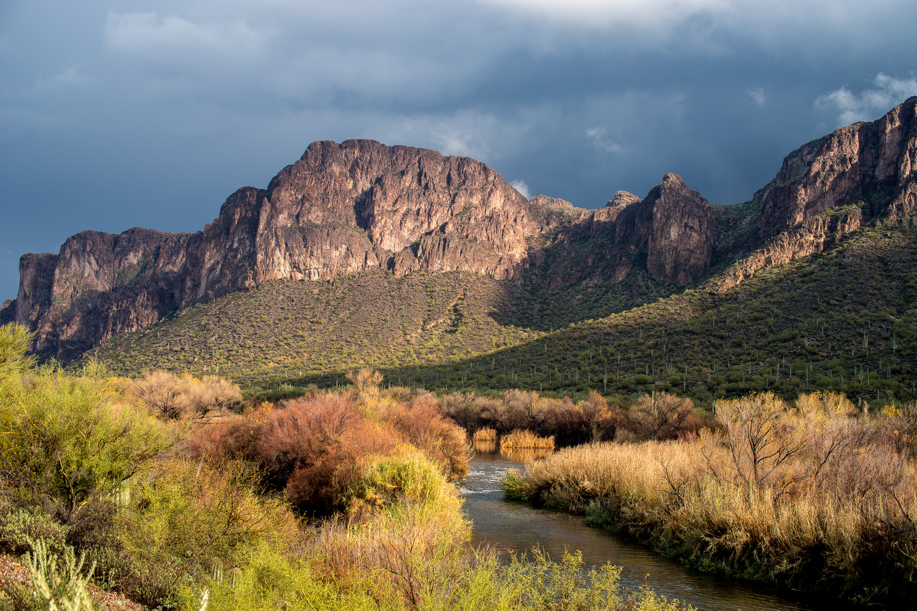 Salt River wilderness