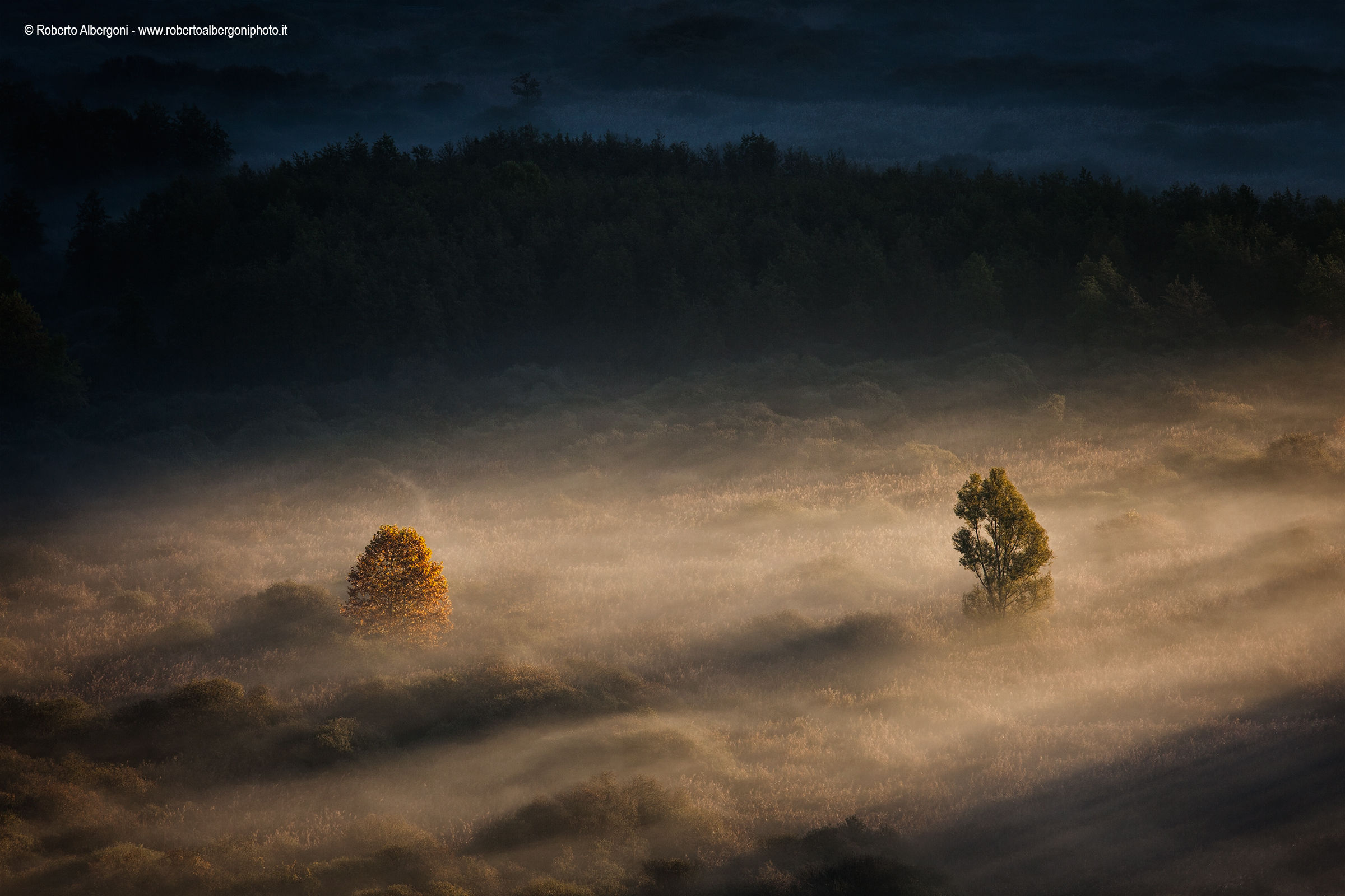 Between the two litigants