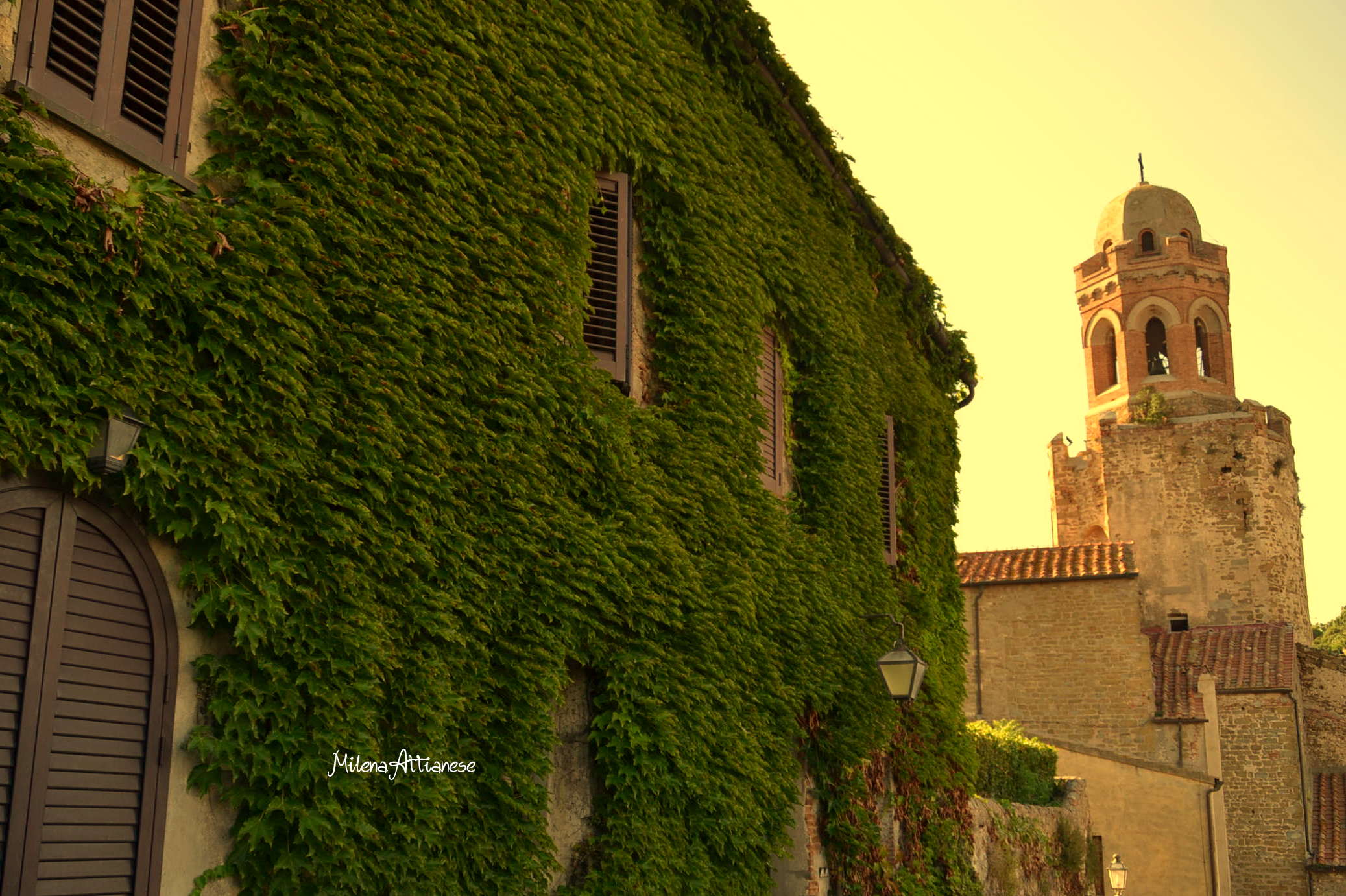 Parete rampicante, Castiglione della Pescaia (Toscana)