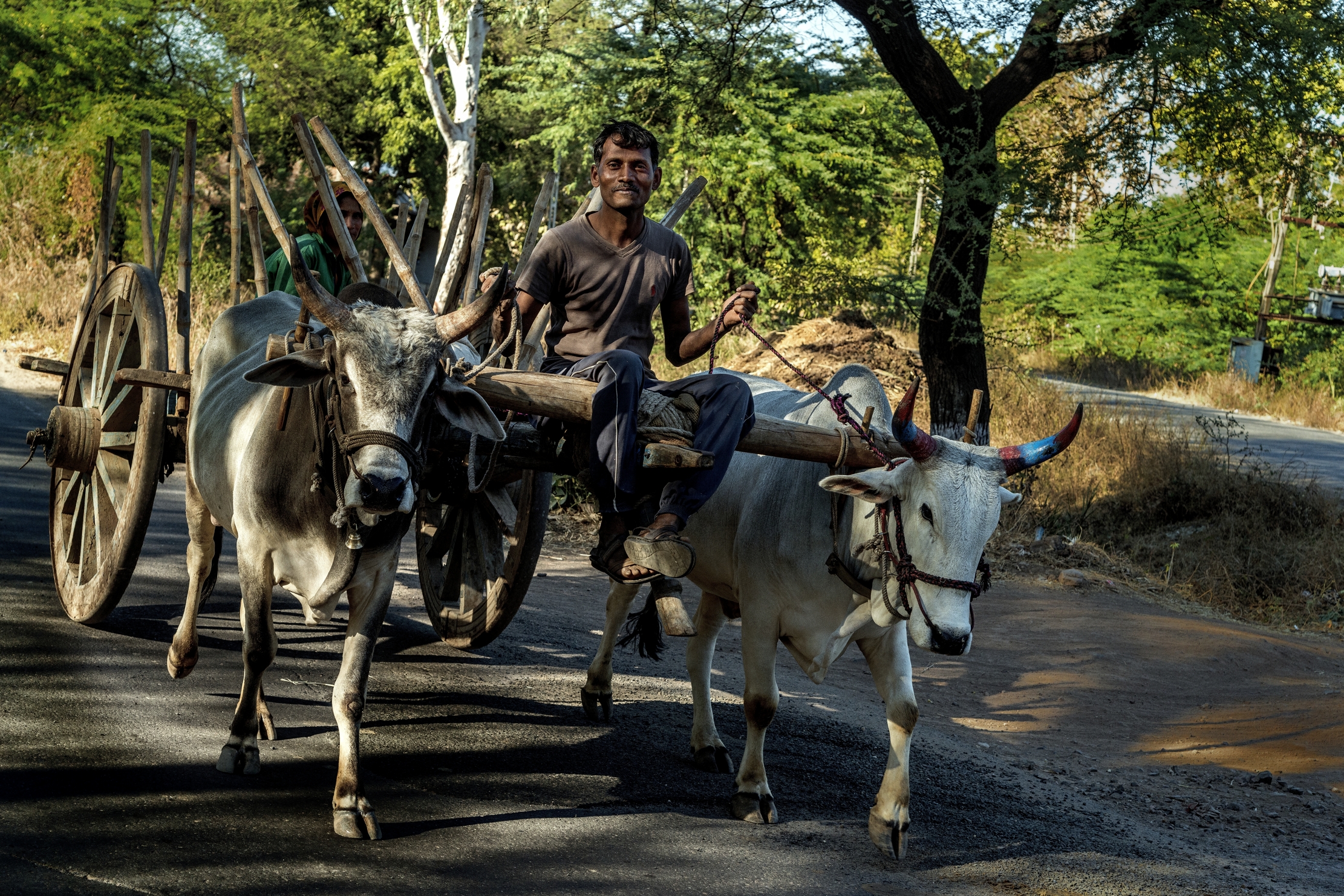 Gujarat 2015 - Lungo la strada