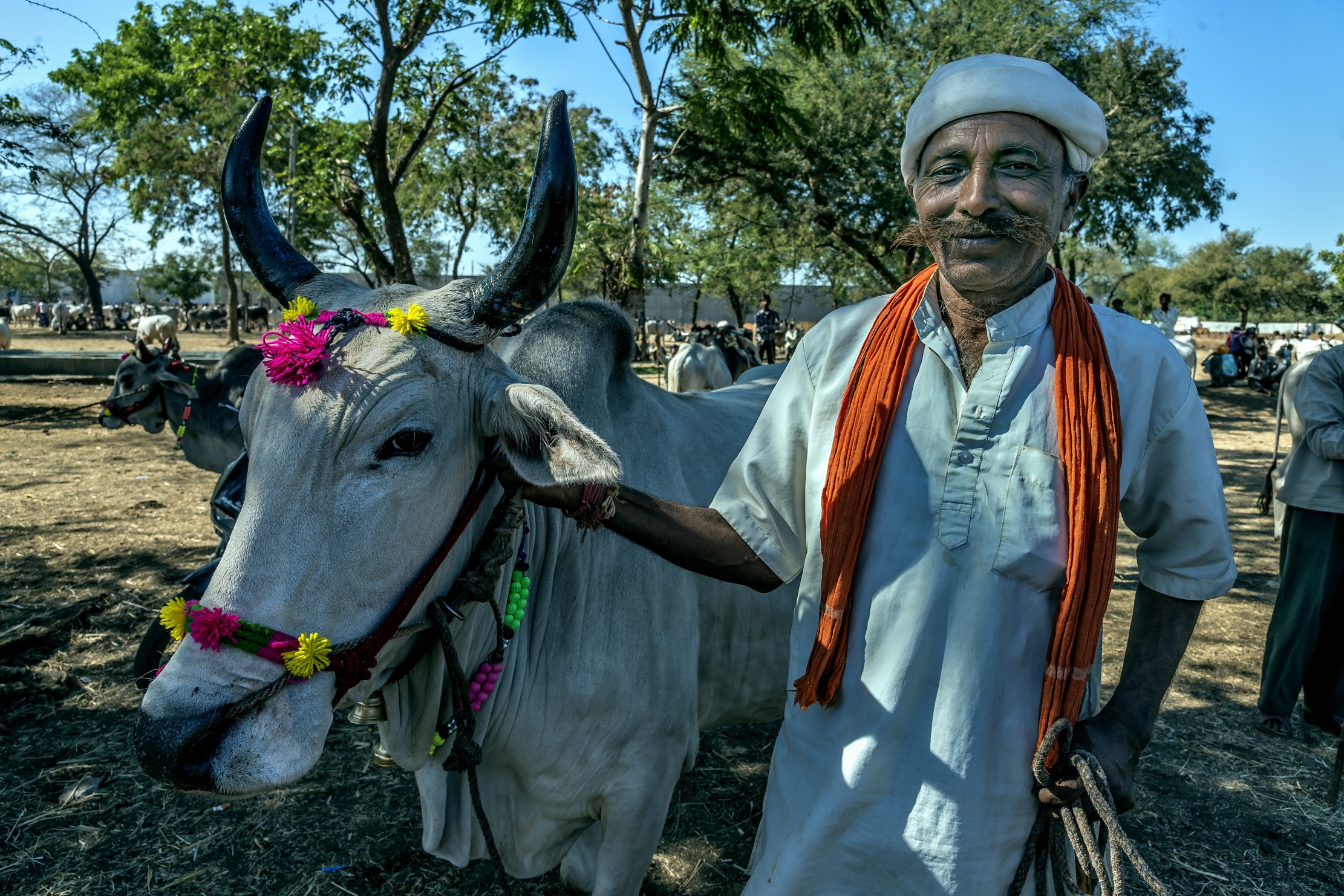 Gujarat 2015 - In un mercato