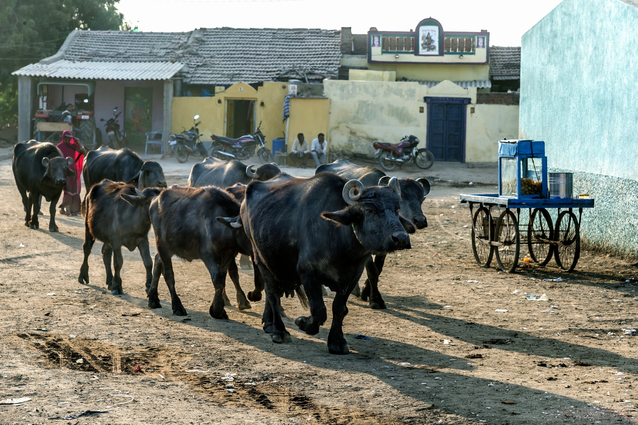 Gujarat 2015 -  In un villaggio