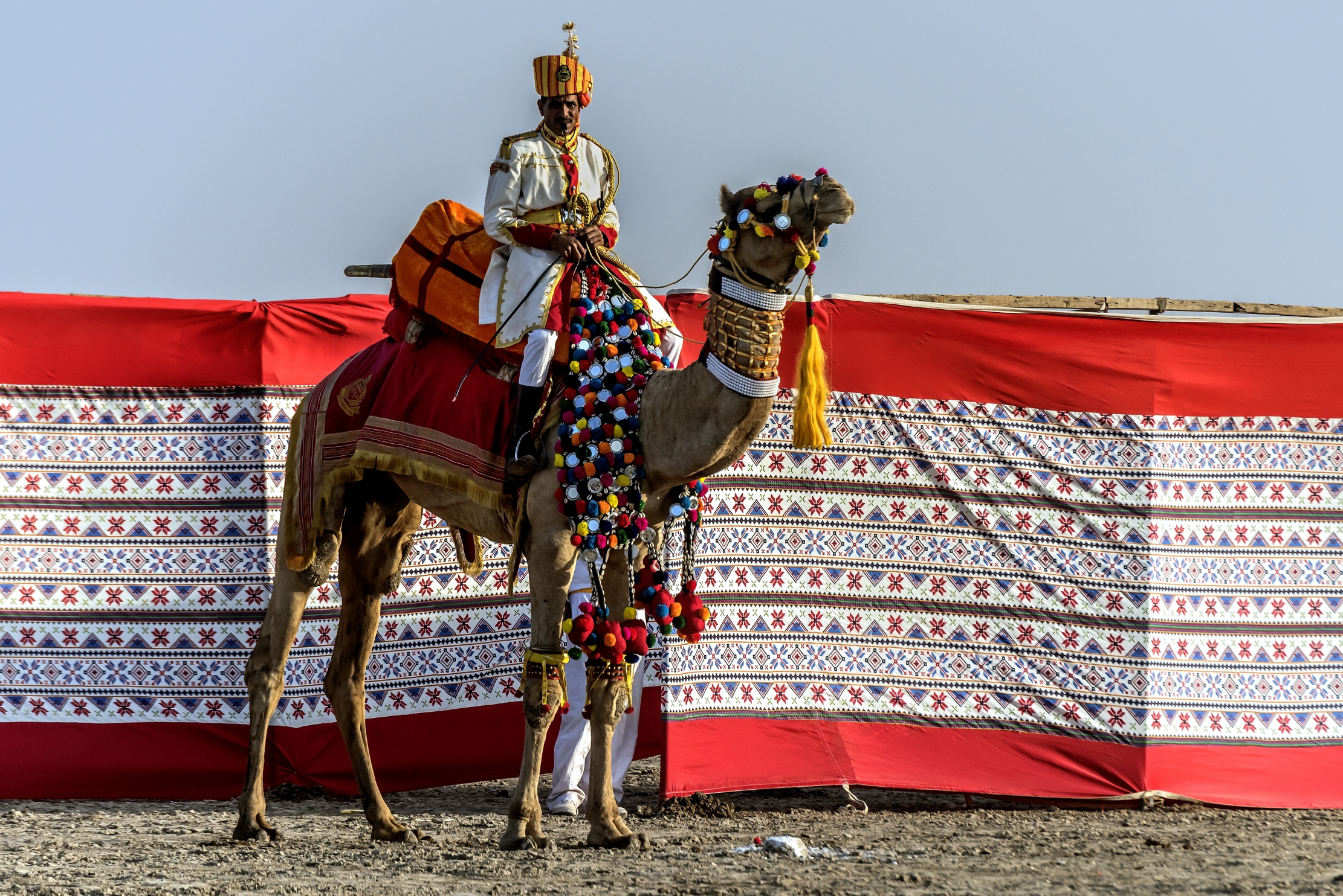 Gujarat 2015 - Esibizione nel deserto