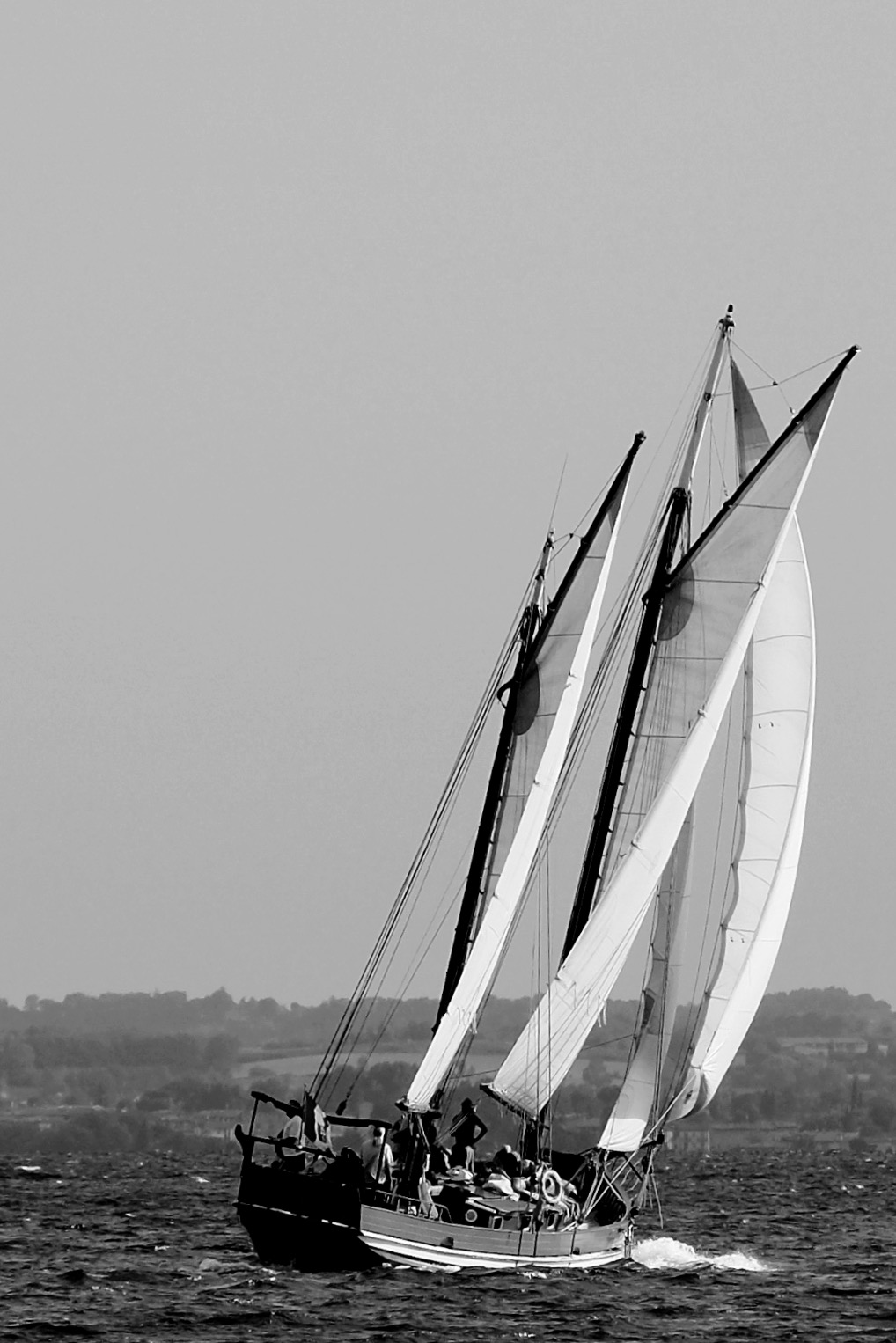 Sails on the horizon B & W