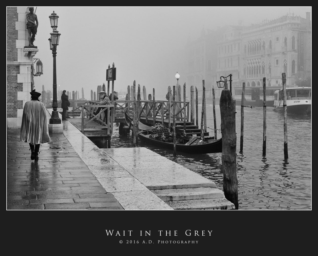 Wait in the Grey