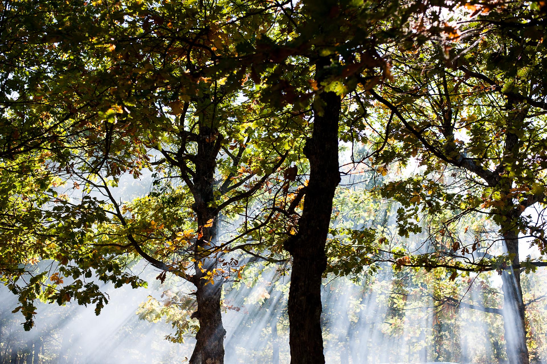 Pollino National Park