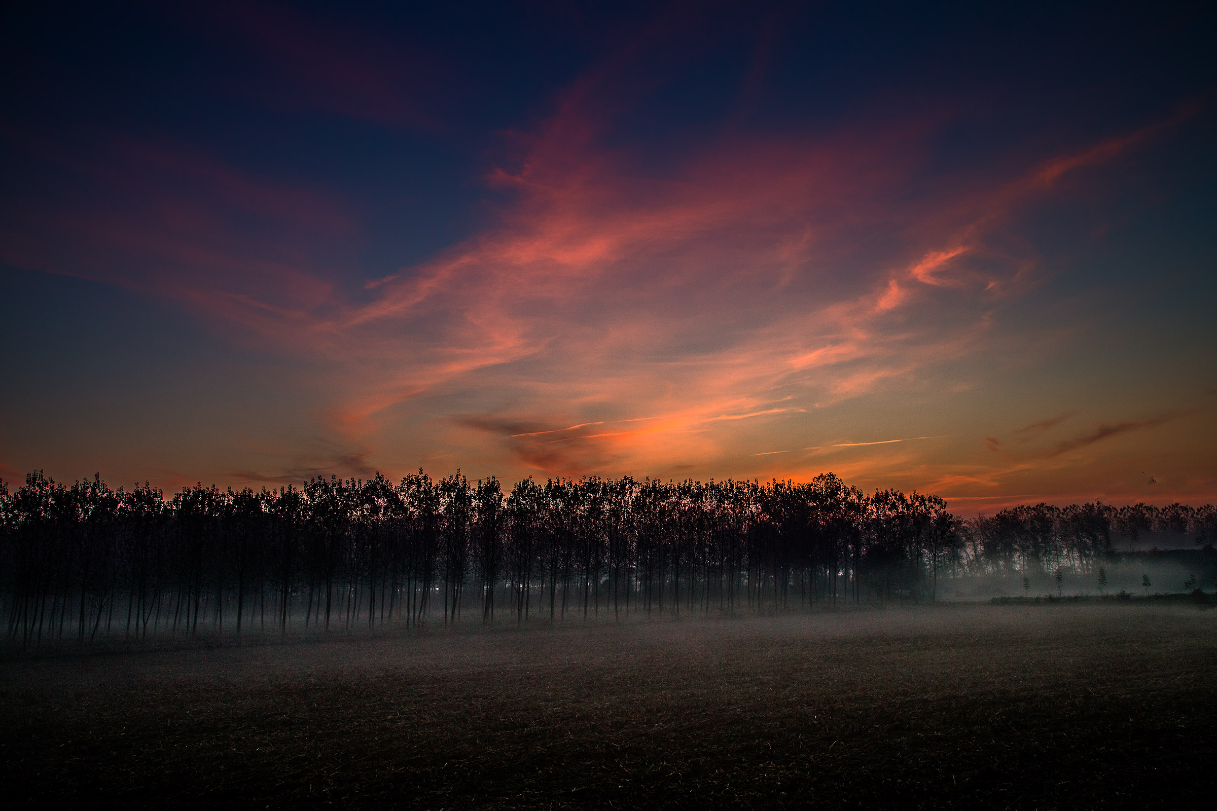 A field, a sunrise and a bit of fog