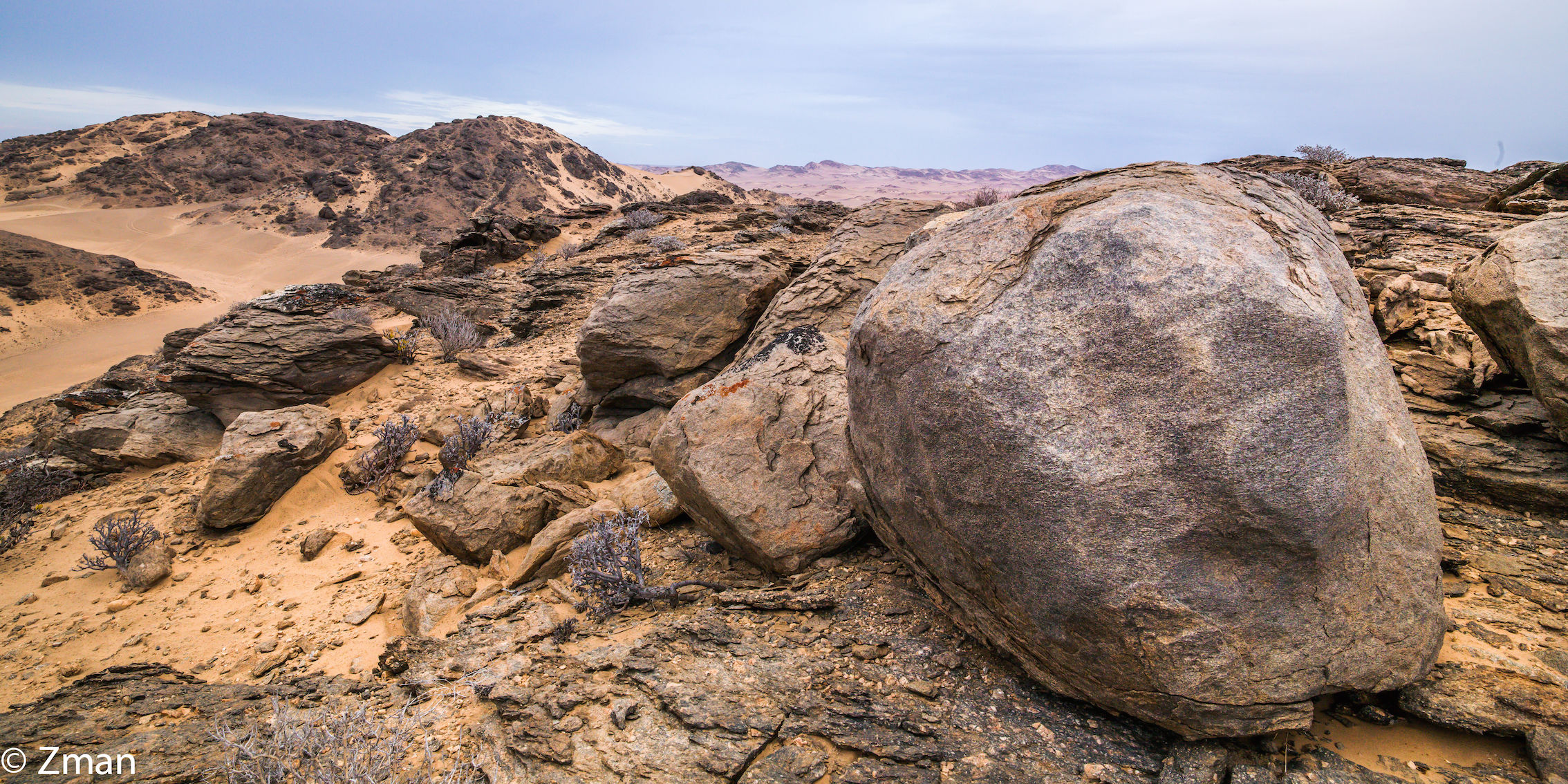 Selvatici della Namibia