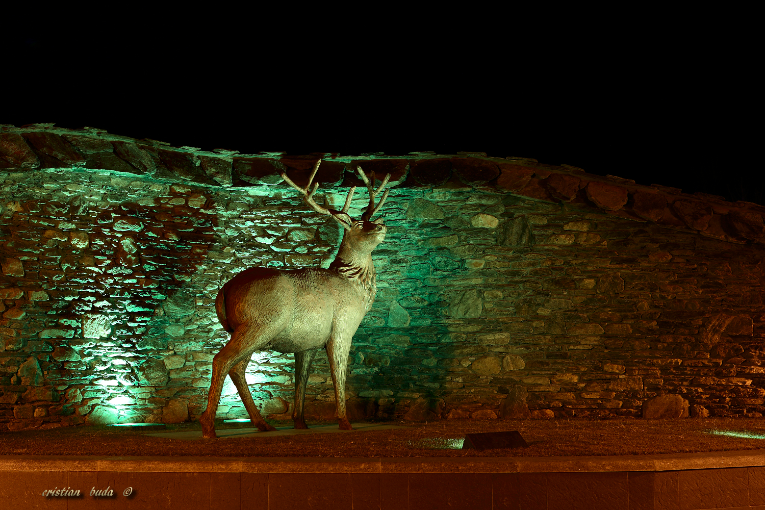 It had been so long that I wanted to shoot a deer ...