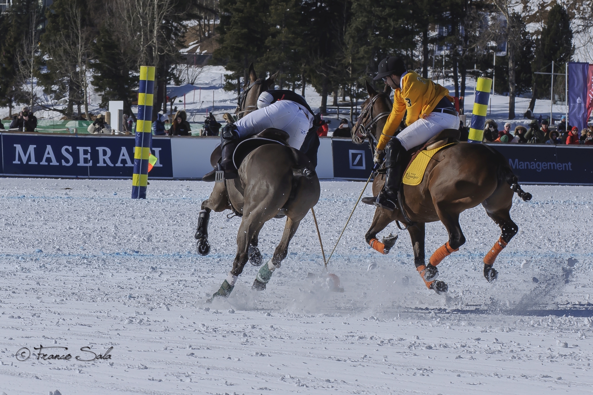 Snowpolo - St.Moritz 2016