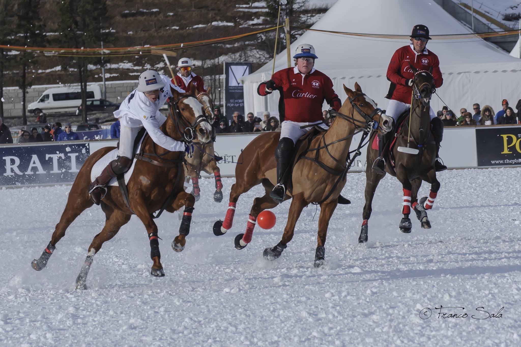Snowpolo - St.Moritz 2016