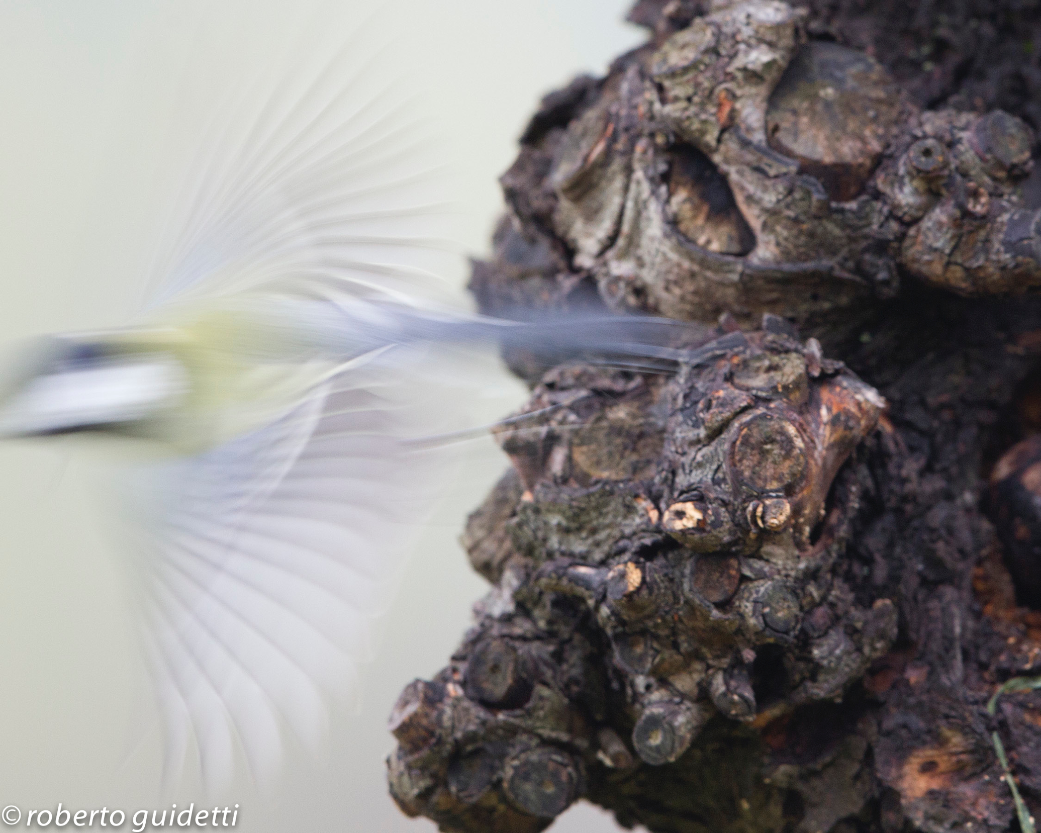 savor the atmosphere