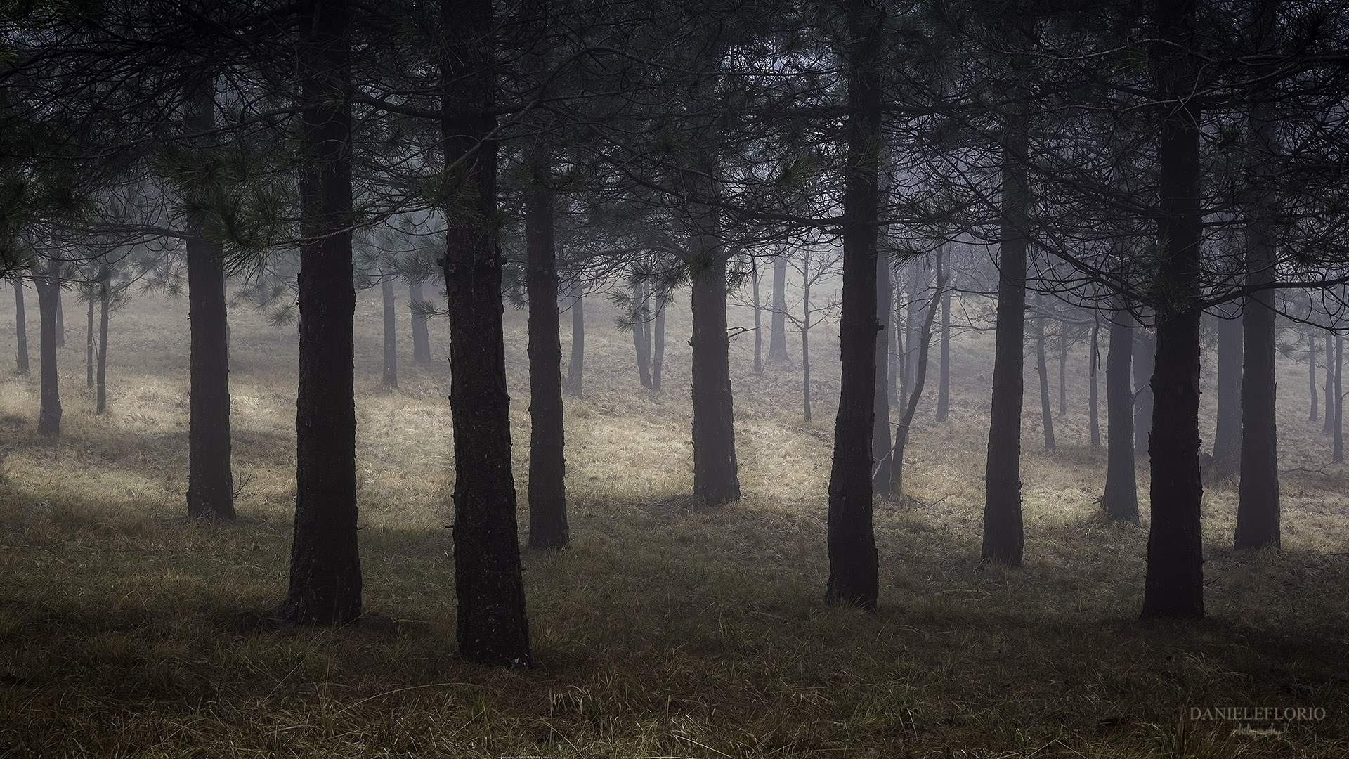 There is society where none intrudes