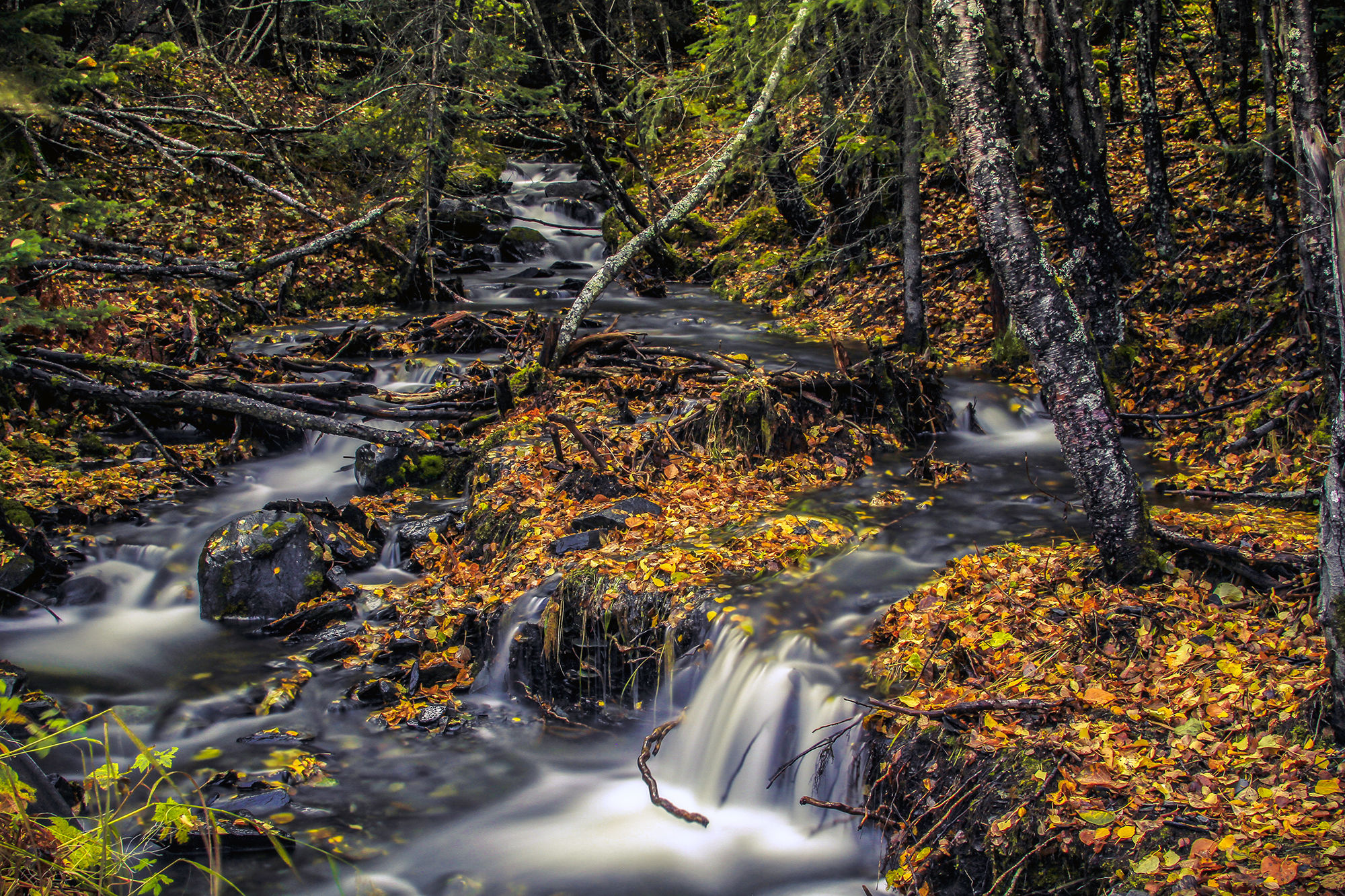"Long exposure" CLASSIC "lost in Ak"