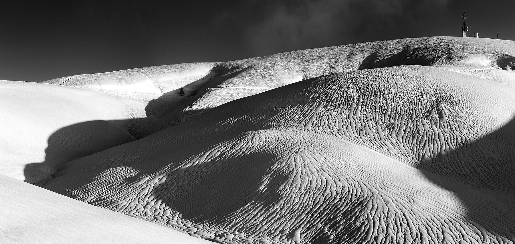 As elephant wrinkles